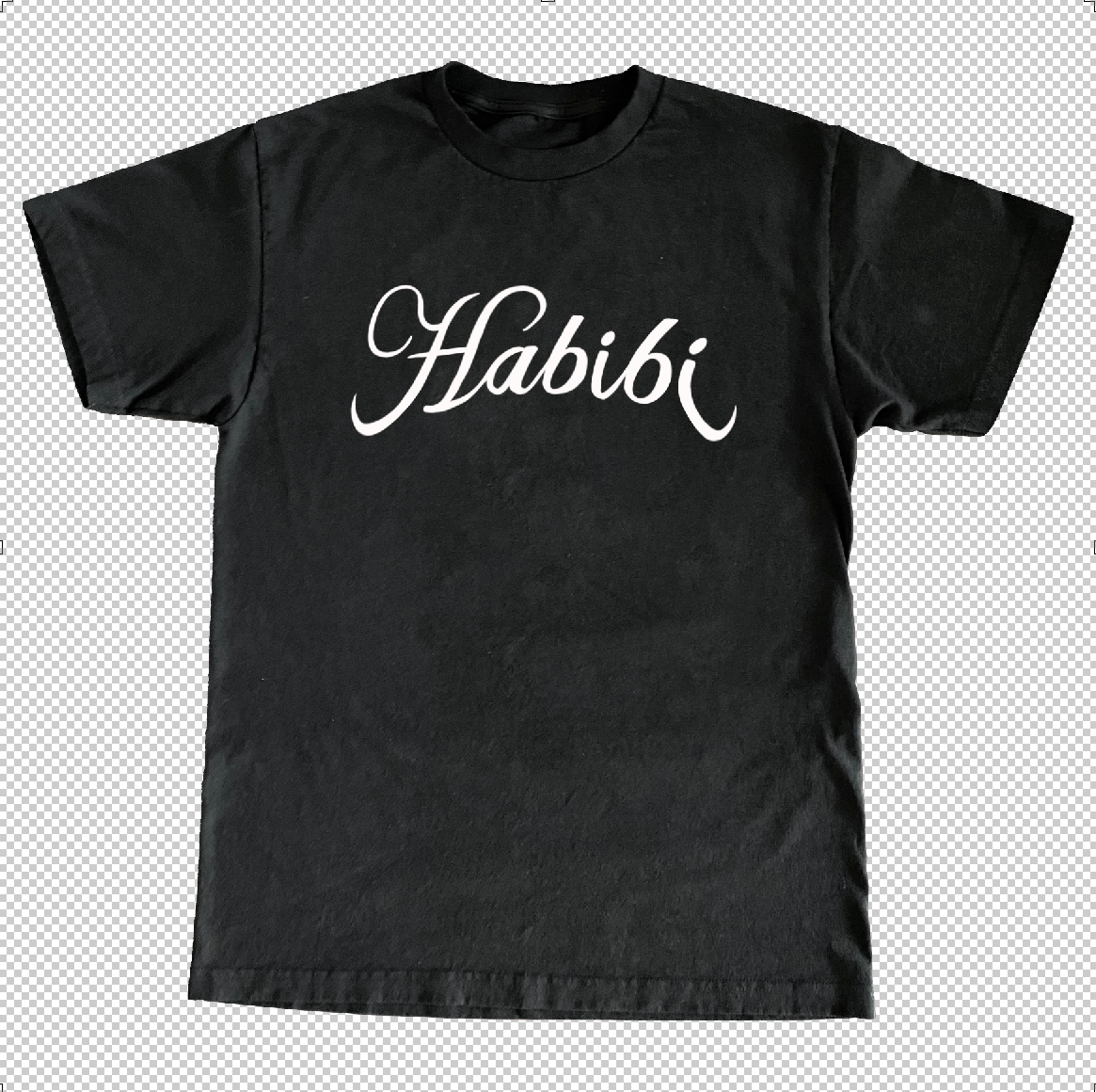 Habibi Land Cruiser